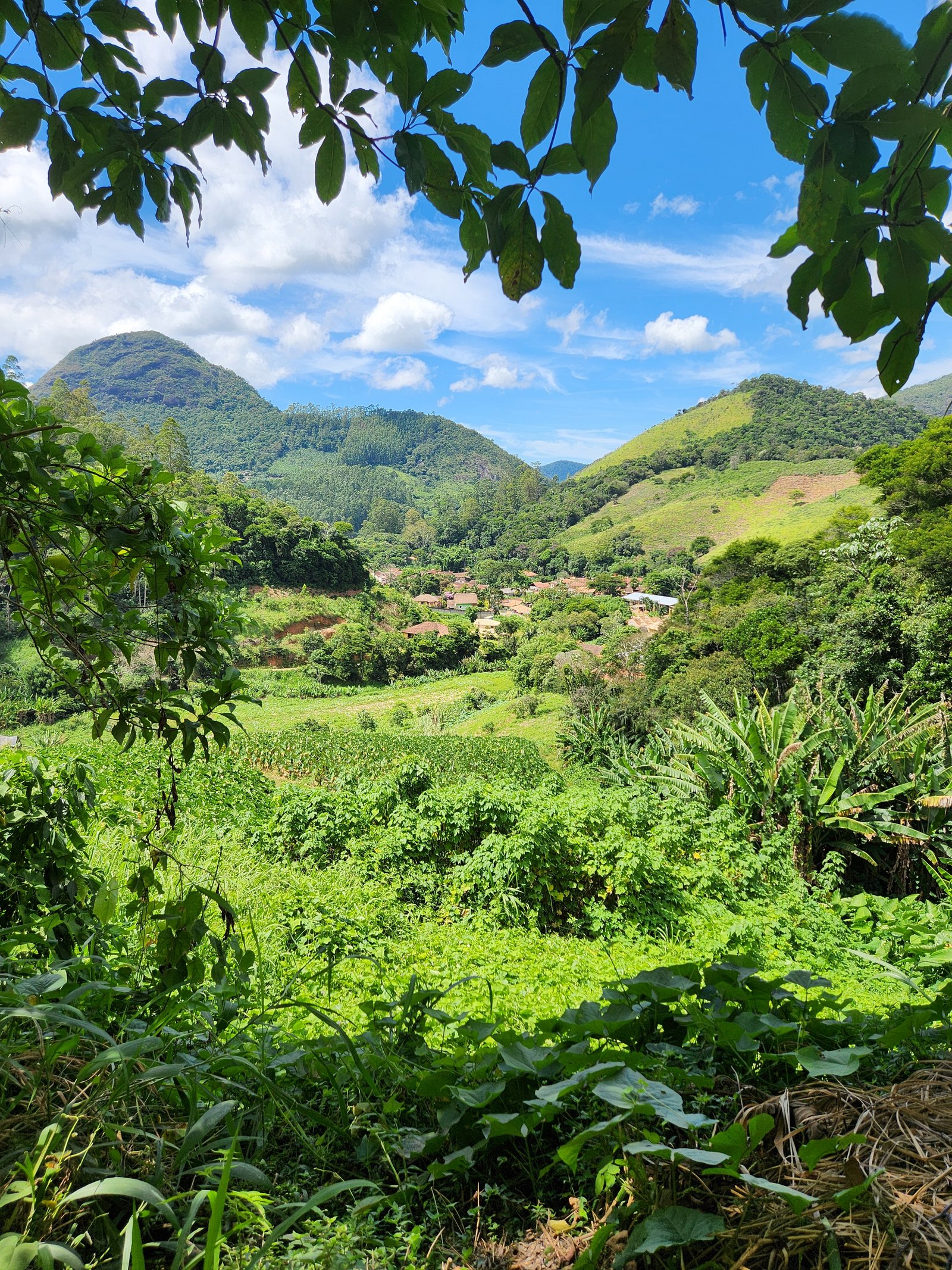 Estrada da Tapera
